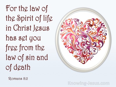 Romans 8:2 The Law Of Love (devotional)05:05 (gray)